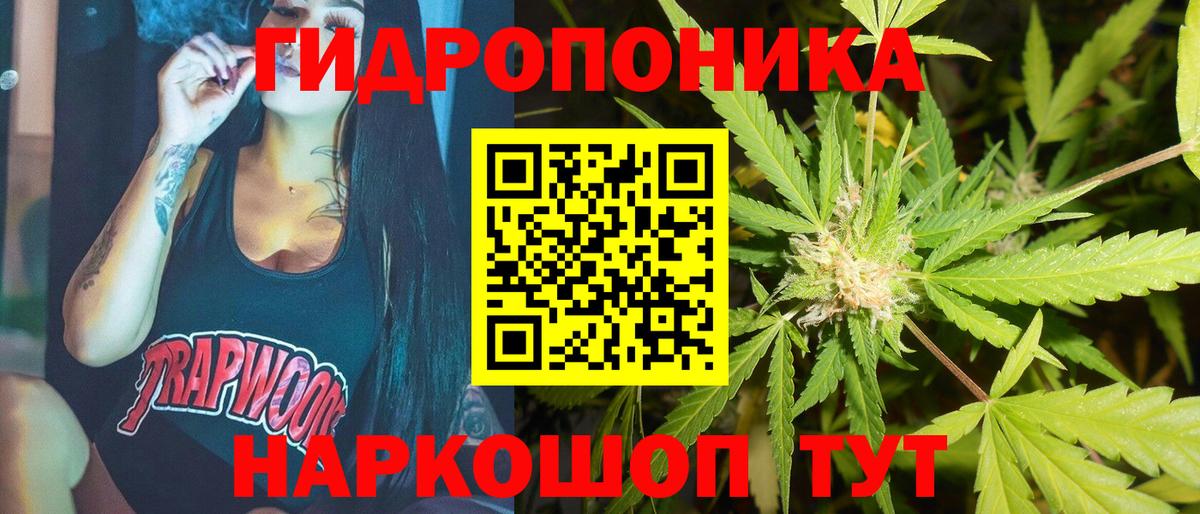 Бошки Шишки сатива  Бошки марихуана ГИДРОПОН  Вязьма  Вход с VPN  Канабис план 
